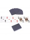 Poker set čipova 1000 komada